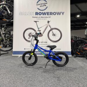 Rower dziecięcy STORM Spike 14 VBR