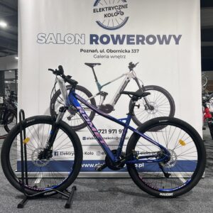 Rower górski ROMET JOLENE 7.1