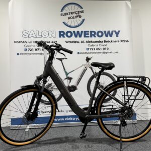Rower elektryczny Storm E-Diamond Pro Lady 17" (504 Wh) szary